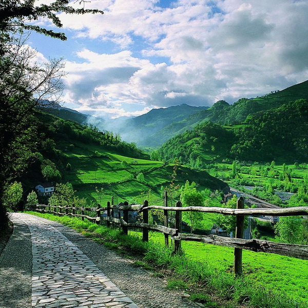 Descubre bucólicos parajes escondidos en pleno corazón de Asturias.